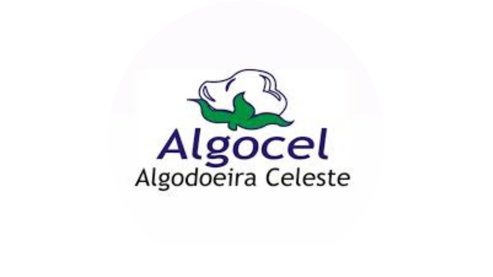 Logo de Parceiro 9